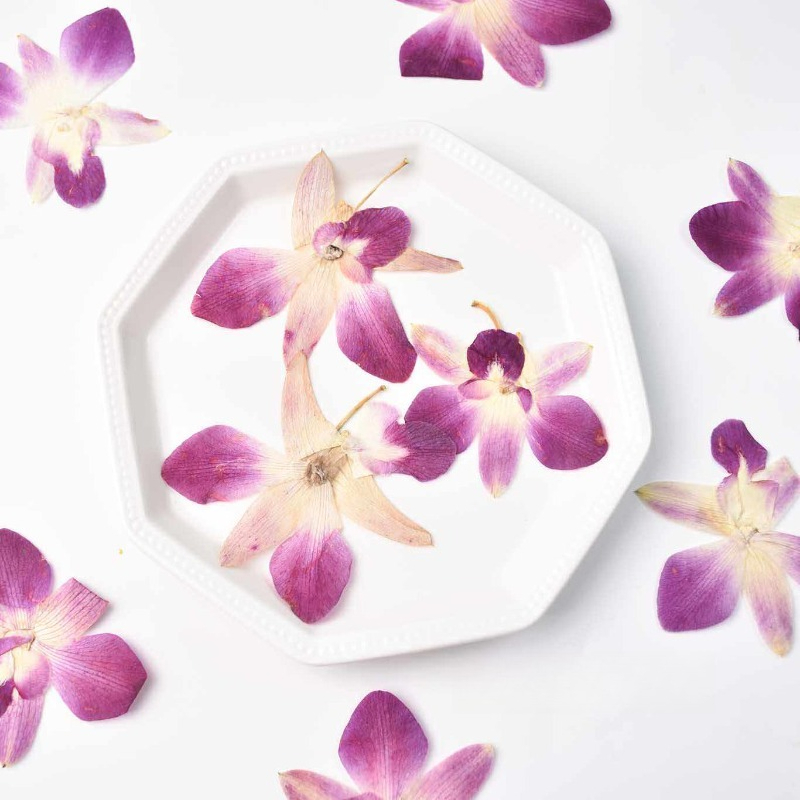 Art And Craft Photos - 4 ชิ้น, ดอกกล้วยไม้ผีเสื้อแท้แบบกดอัด, งานศิลปะเรซิ่น DIY, สมุดภาพ,