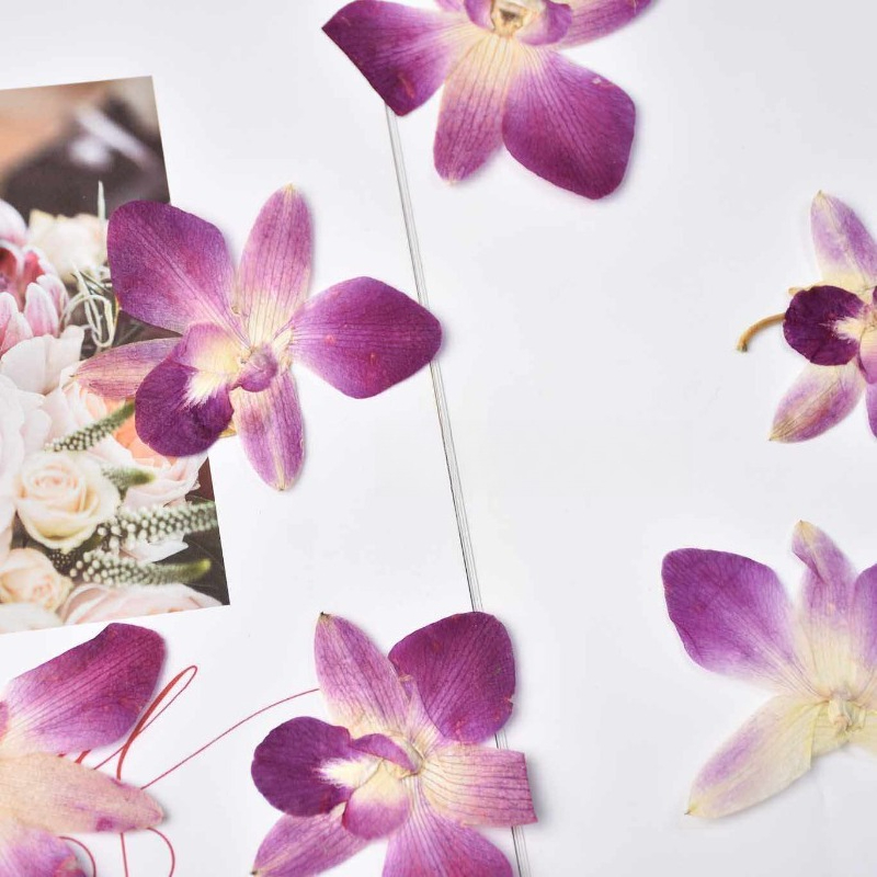 4 ชิ้น, ดอกกล้วยไม้ผีเสื้อแท้แ - Art And Craft Photos บทวิจารณ์และราคา