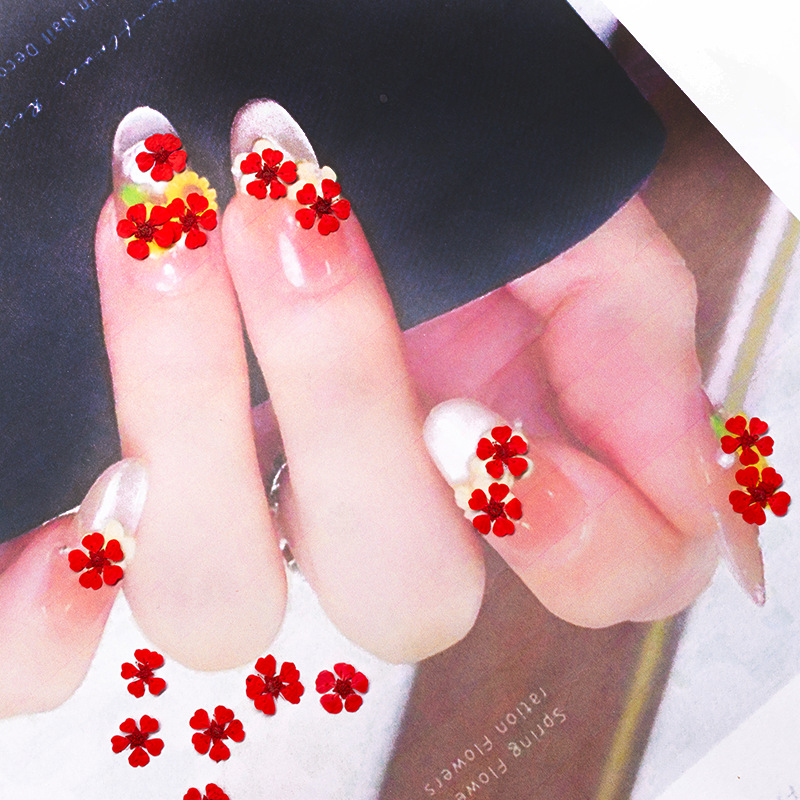ดอกไม้แห้งอัดเม็ดขนาดเล็ก 1.5  - Art And Craft Photos บทวิจารณ์และราคา