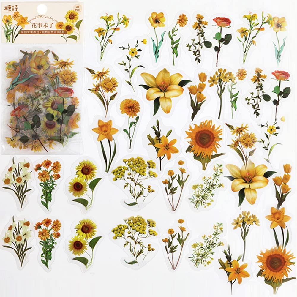 อัลบั้ม stiker Buku kliping รู - Art And Craft Photos บทวิจารณ์และราคา
